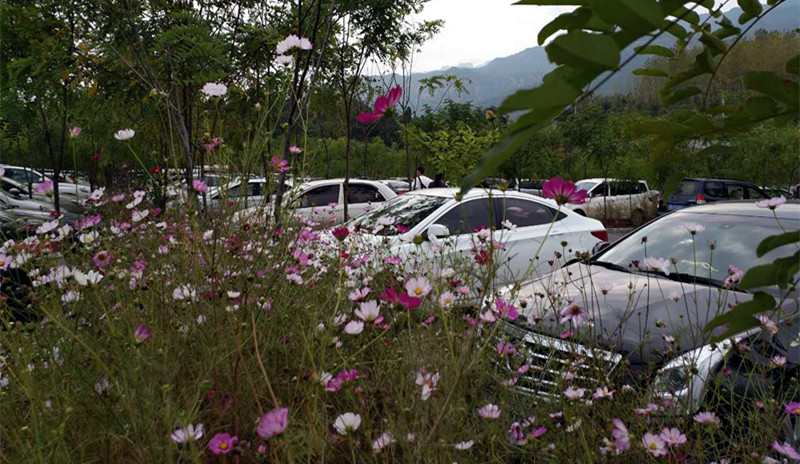 ��(gu��)�c���g Ρ���I�ɽ�����@��(gu��)��(n��i)���ο��c(di��n)ٝ