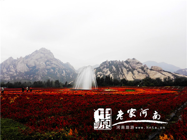 ���ϰˆ�λ�͂��˵���ȫ��&ldquo;ʮһ&rdquo;����&ldquo;�t��&rdquo;