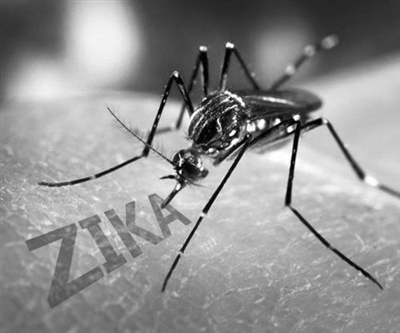 կ���������؄�(chu��ng)�������ΘI(y��) �ն��ȇ��ӏ�(qi��ng)�ڰ��z��