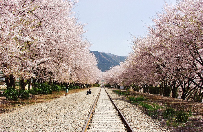 50�f�Ї��ο͸��Օ���ѻ��� �A(y��)Ӌ(j��)�˾����M(f��i)�s2�fԪ 