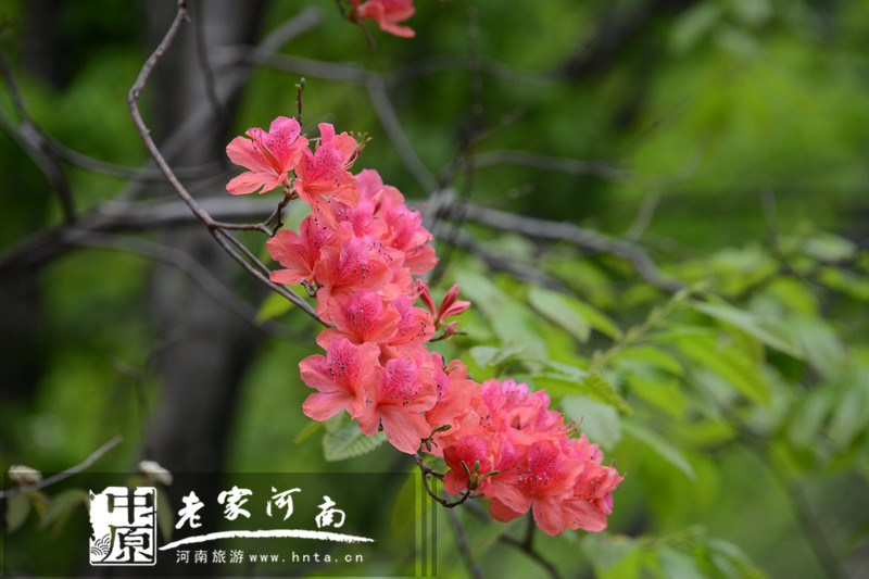 ʷ��������ξ�·��188Ԫ=���R̶+���@+���轻ͨ+���