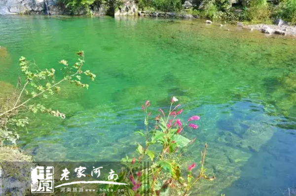 ���꽻�� ���������̫��