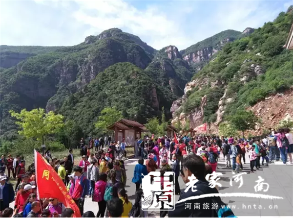 ��üɽ��ɽ�ݵ鷼������ ����������ԭ������