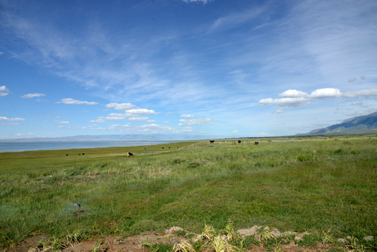 ��Ҋ�������L(f��ng)��