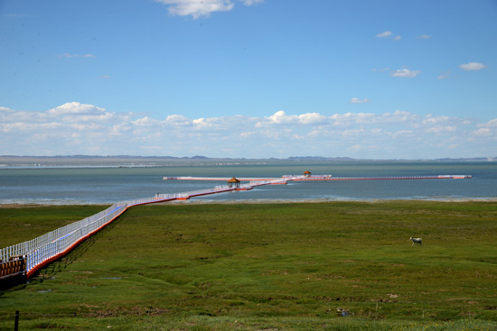 ��Ҋ�������L(f��ng)��