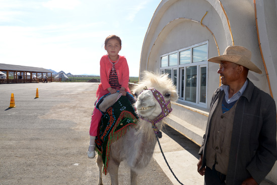 ��Ҋ�������L(f��ng)��