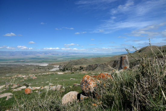 ��Ҋ�������L(f��ng)��