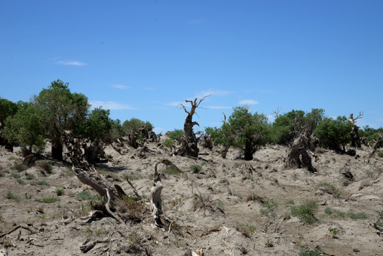 ��Ҋ�������L(f��ng)��