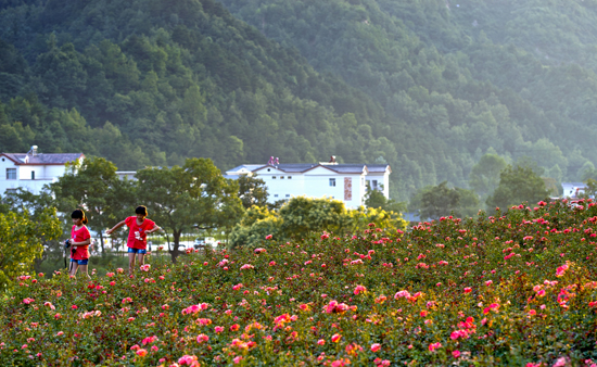 G20������������ϙ质9���^(q��)���㽭�����TƱ