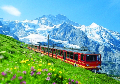 2017���������ꆢ�� ȫ���������ѩ���Ο�