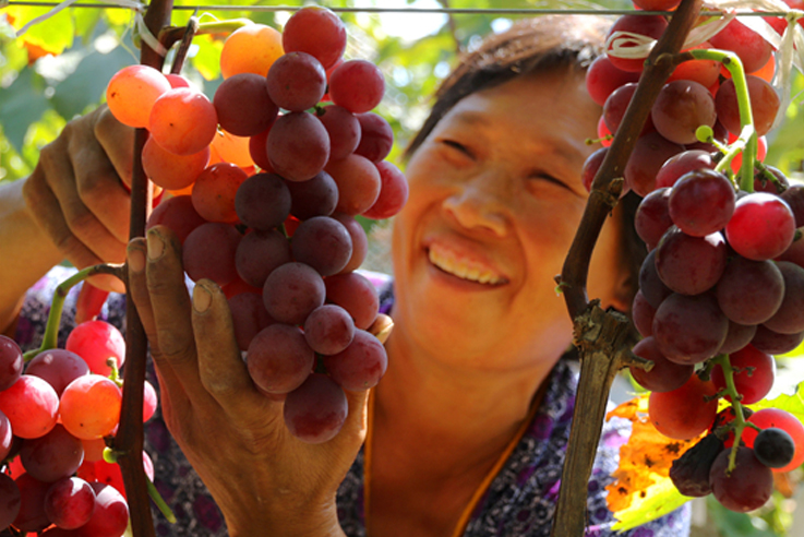 ����ʡ��(n��i)�l(xi��ng)�h����(chu��ng)5A ׌�����¸�·�ߵø����� 