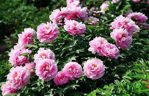 4��5���������(y��ng)����ĵ���@�״Ό�(du��)�����ο����M(f��i)�_��