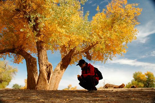 &ldquo;һ��һ·&rdquo;���� 3���ȷ�3��