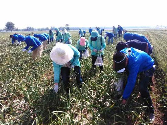 �����Ϻӈ@�M���T���x�Վ����r����޷